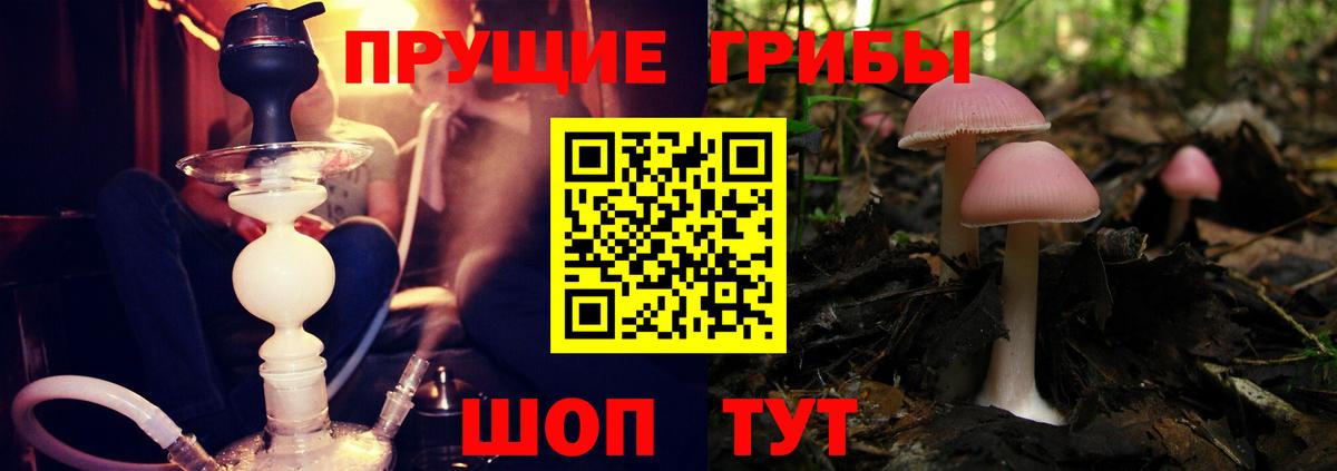 Псилоцибиновые грибы Cubensis Ишимбай